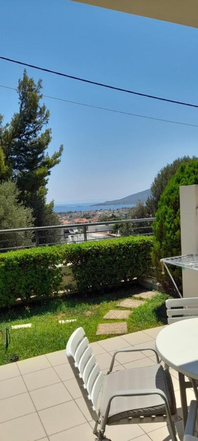 Lena's Fresh Studio Near The Airport With Seaview Holiday home *